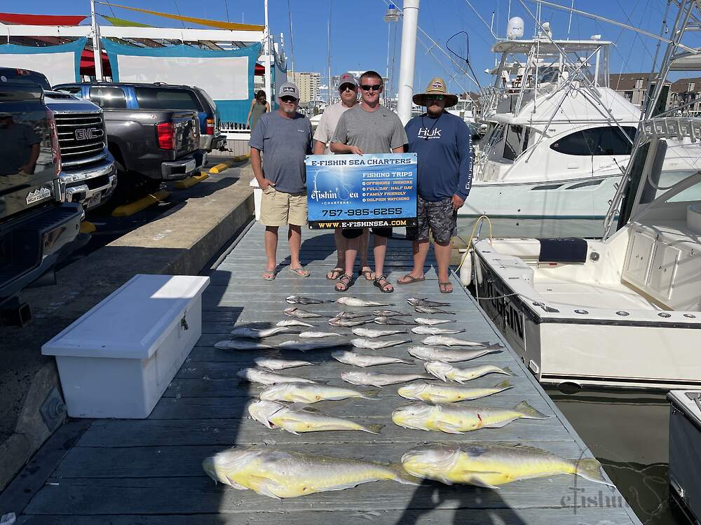 link44_2.jpg