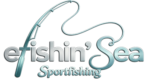 new-logo3.png